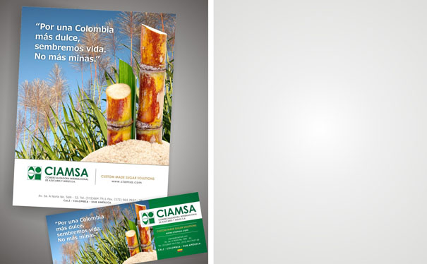 Ciamsa